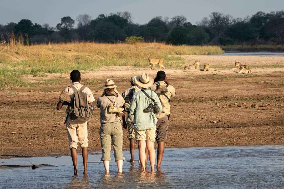 
Walking Safaris