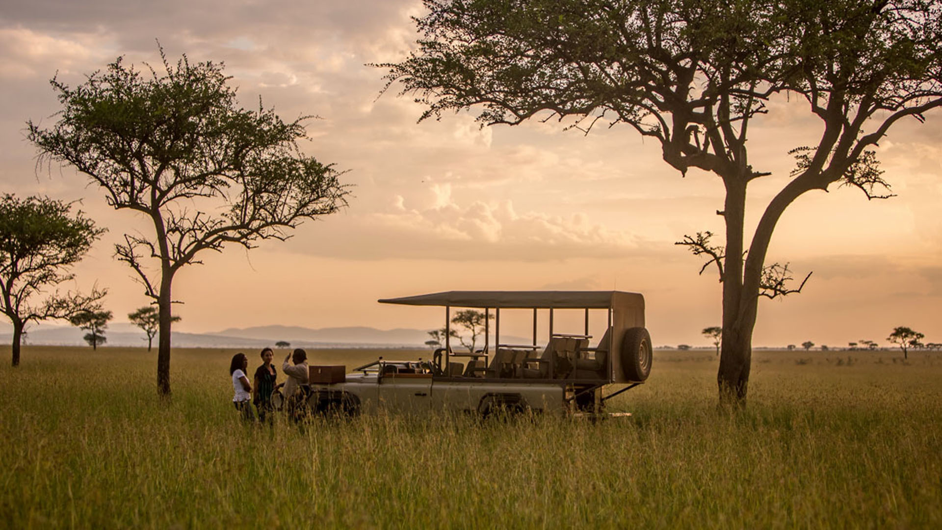 luxury tanzania safari