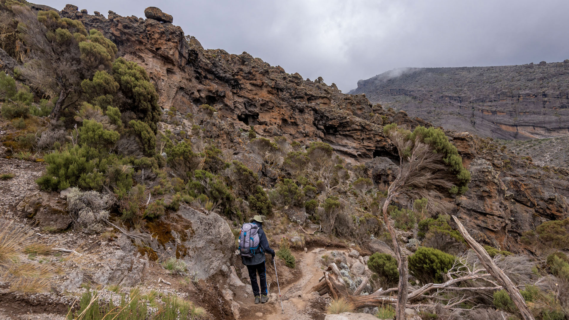 marangu_karnaga camp way